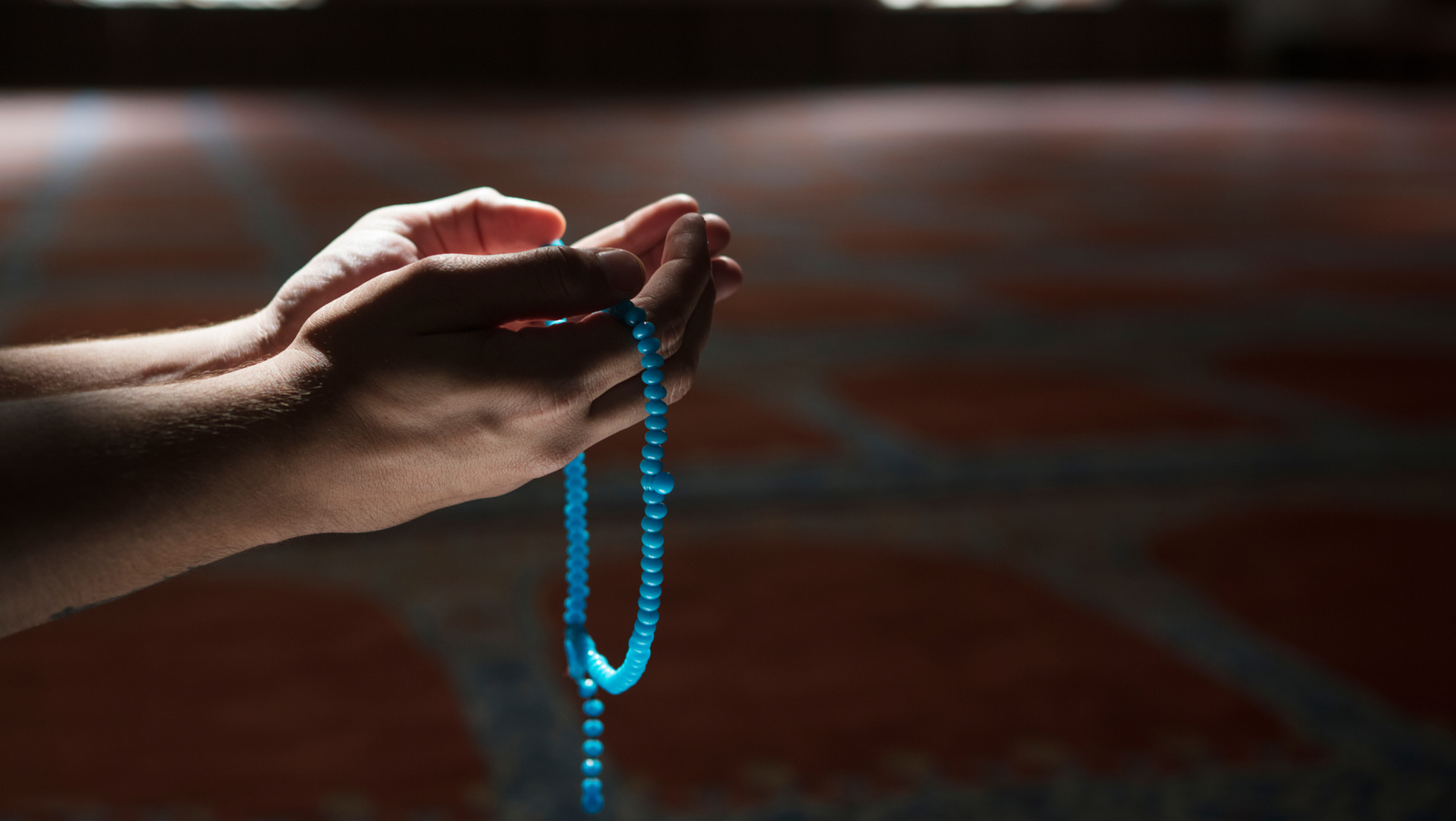 Letter to American Muslims